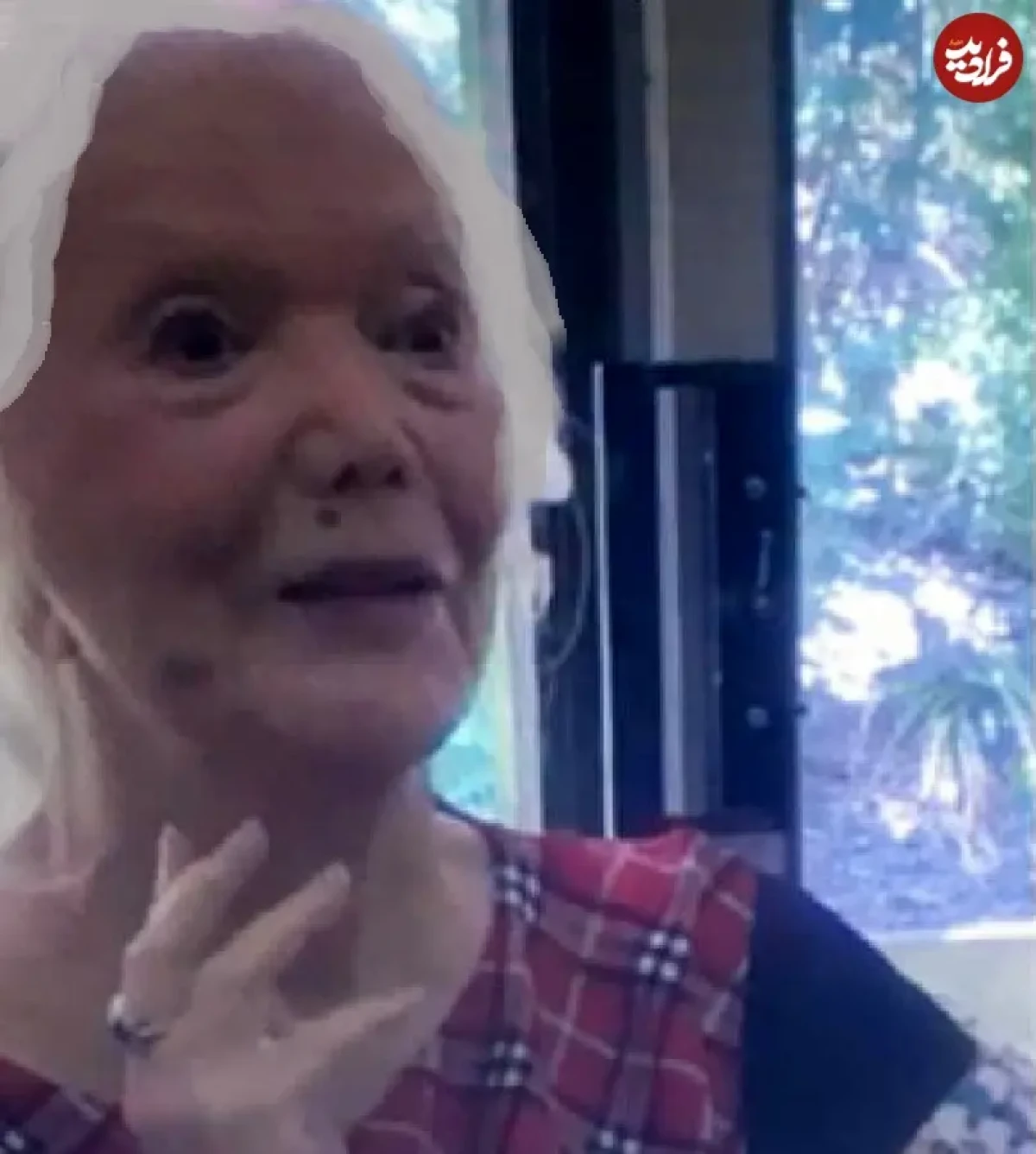 talayedaran_honar_iran_1572637044_2167759103152236119_7443513309 (1)