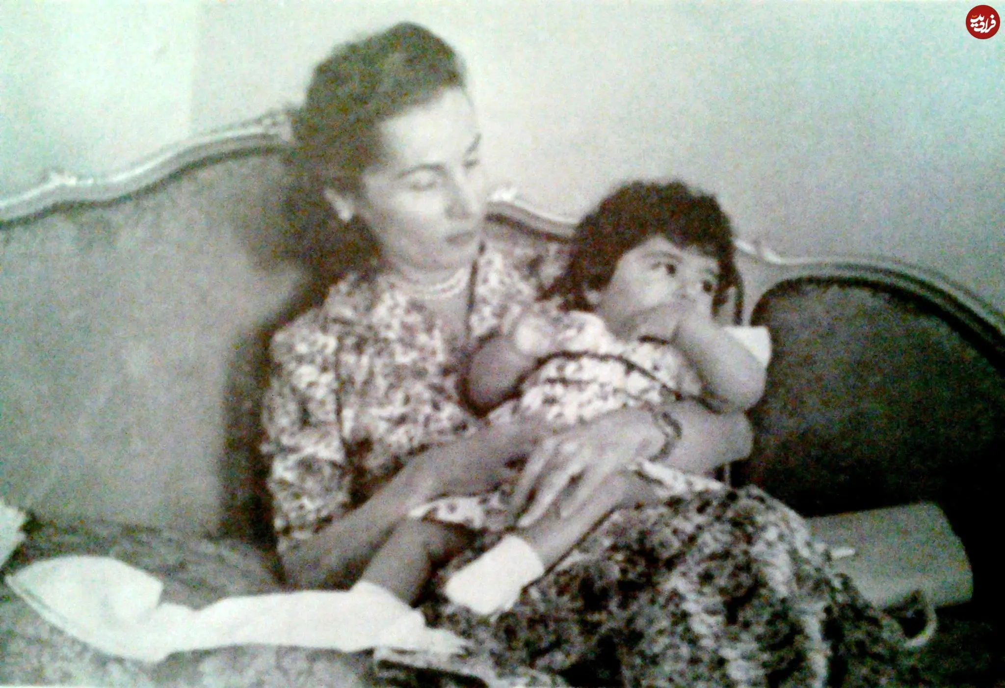 505705475_10065198063572035_5681813541320990537_n