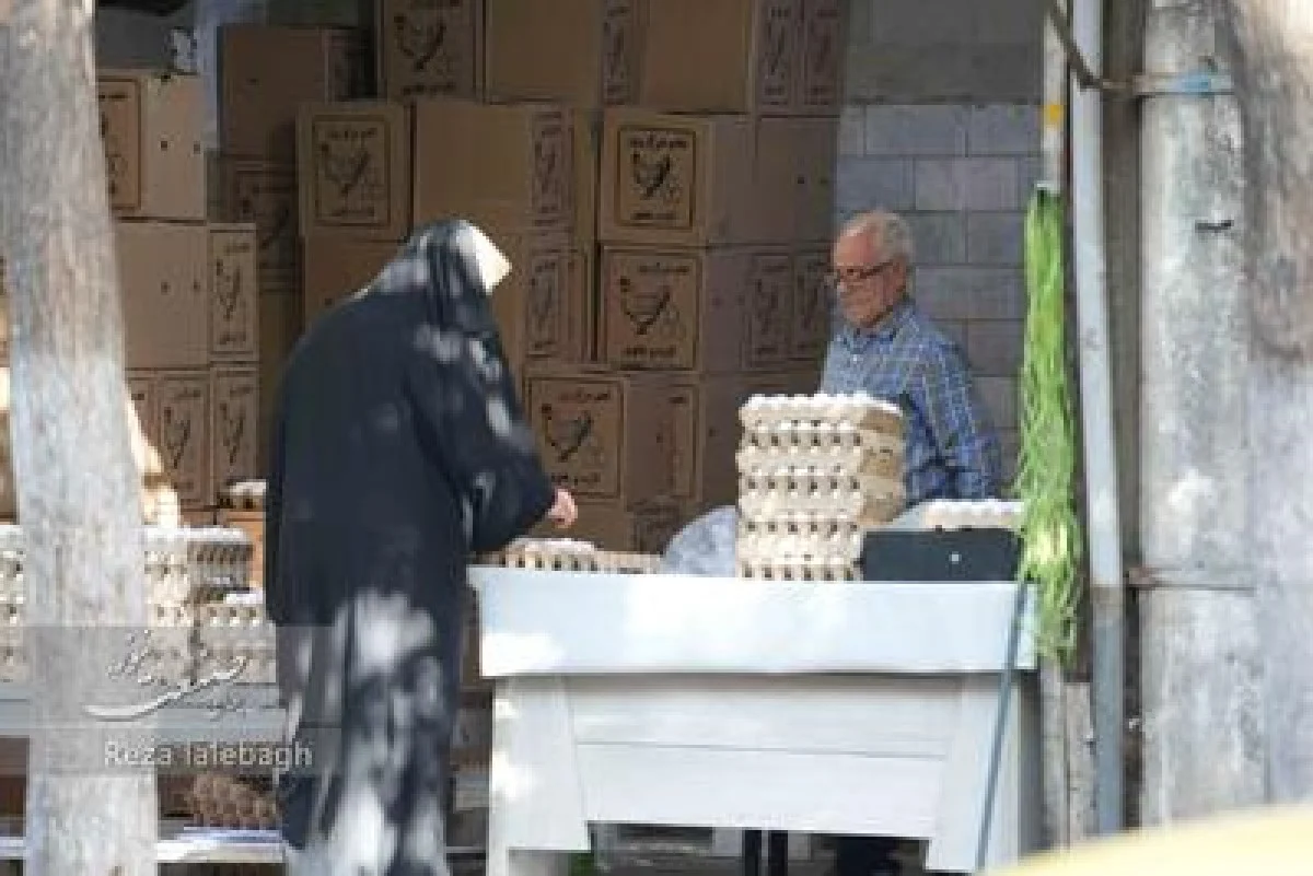 قیمت تخم‌مرغ به رکورد ۳۰۰ هزار تومان رسید