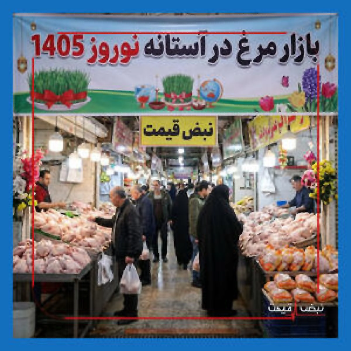 آرامش در بازار مرغ؛ پشت‌پرده اطمینان‌بخشی تولیدکنندگان و چالش بزرگ گرانی در آستانه رمضان و نوروز