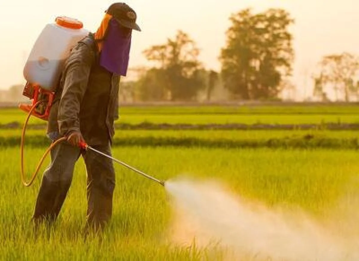 ۸ آفت‌کش گیاهی در مسیر تحقیق و توسعه/ مبارزه با آفت «پسیل» در۳ هزار هکتار باغات پسته