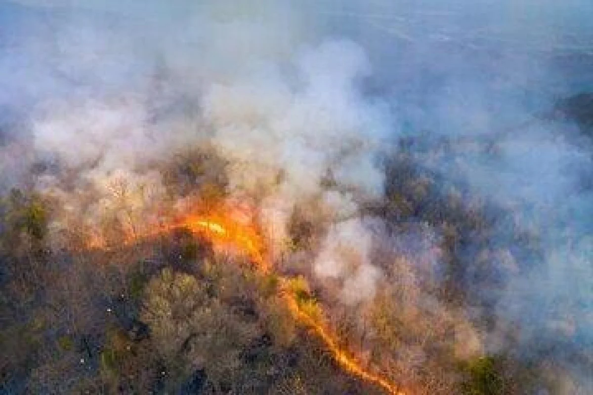 دود آتش‌سوزی‌های طبیعی، خطرناک و تهدیدکننده کیفیت هوا