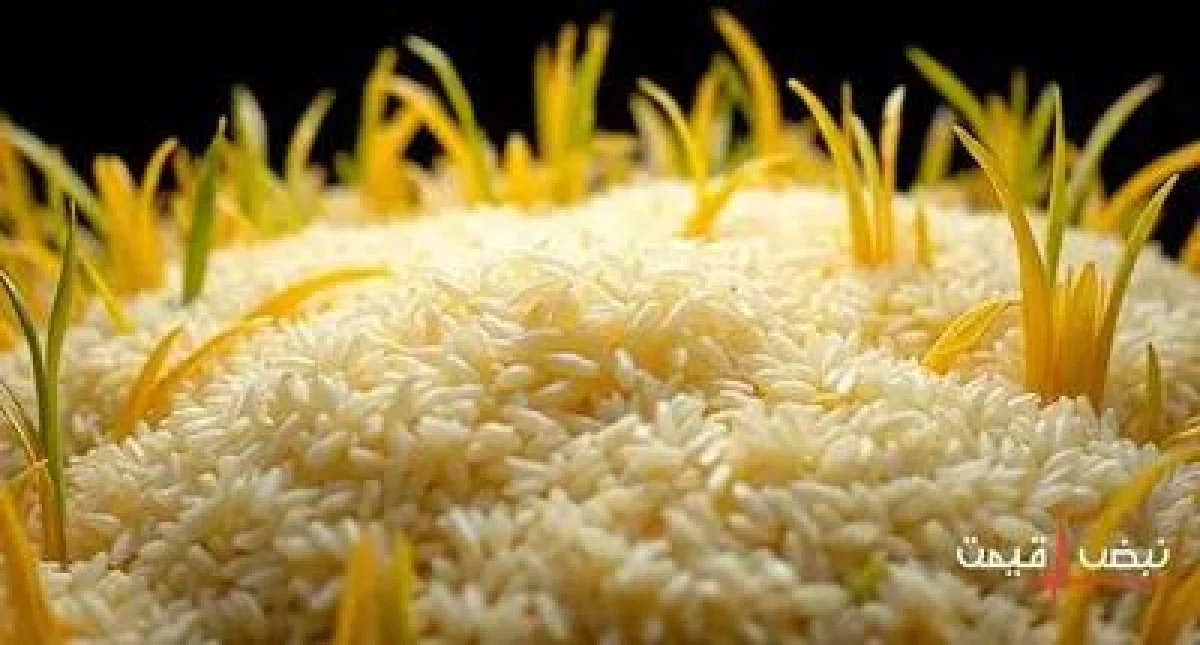 برنج ایرانی، نماد کیفیت و سفره‌های ایرانی با قیمتی سرسام آور | قیمت برنج ایرانی امروز یکشنبه 14 دی 1404 + جدول قیمت