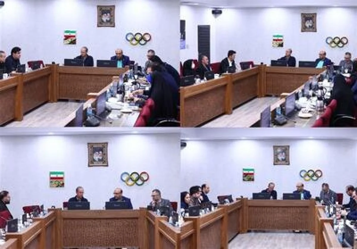 نشست تخصصی مسئولان کمیته با روسای بوکس، روئینگ، کشتی و ووشو - تسنیم