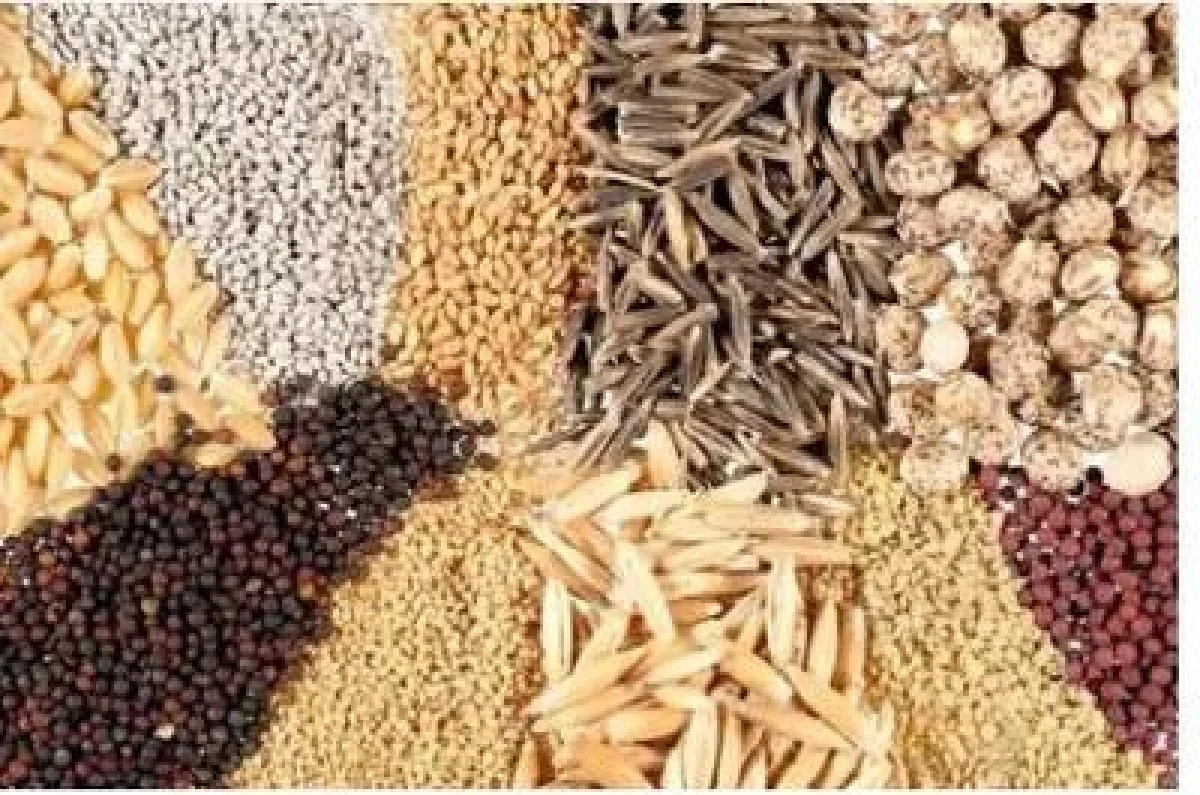 قیمت نهاده‌ها پس‌ از حذف ارز ترجیحی ۴ برابر شد