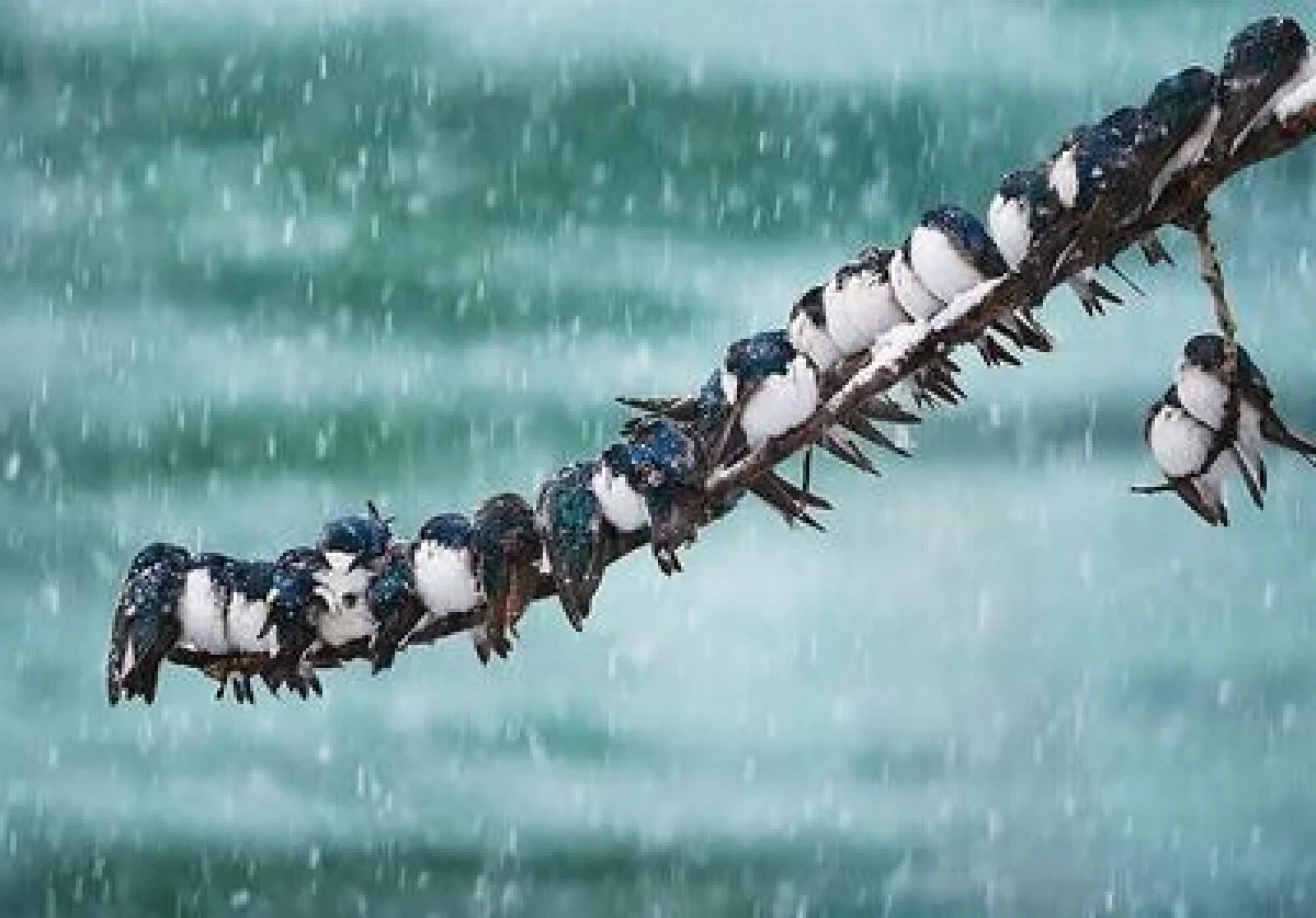 هشدار نارنجی هواشناسی برای تهران