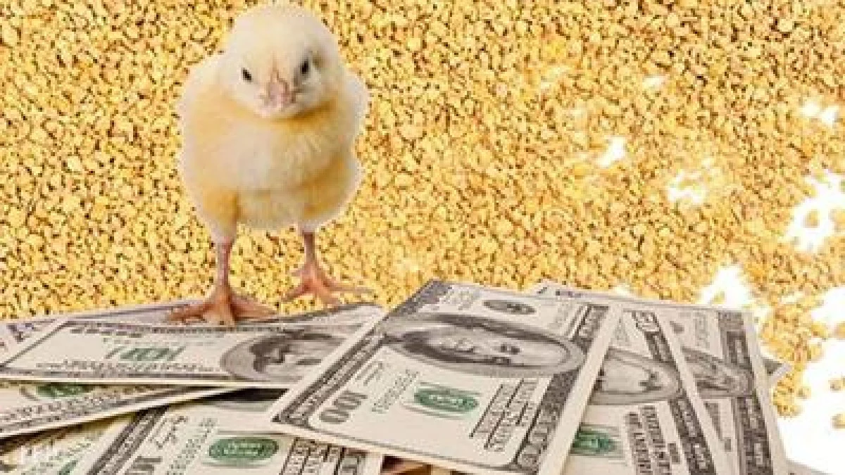 قیمت جدید نهاده‌ها اعلام شد