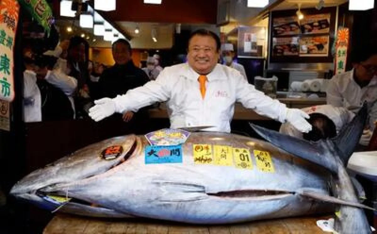 حراج ماهی تن؛ ۴۸۰ میلیارد تومان ناقابل