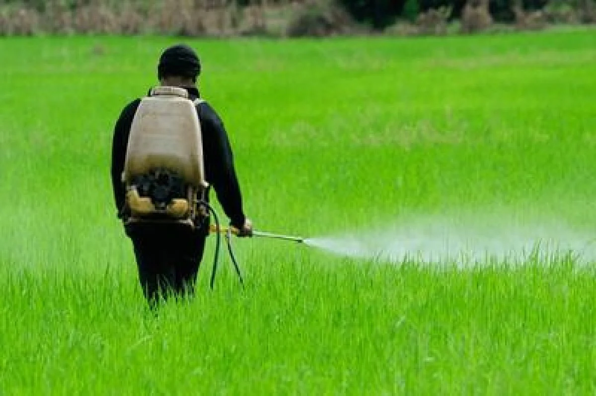 ۸ محصول جدید به سبد آفت‌کش گیاهی اضافه می‌شود