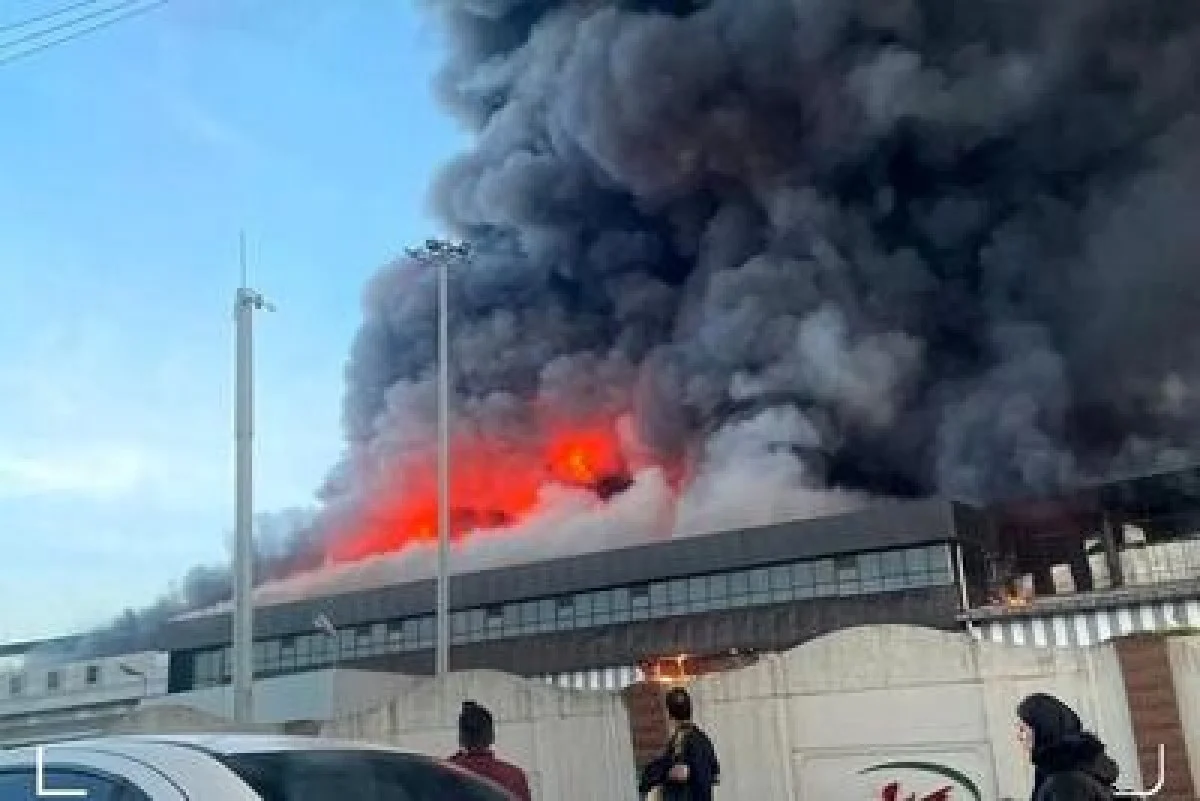 جزئیات آتش‌سوزی در کارخانۀ کاله در آمل+فیلم