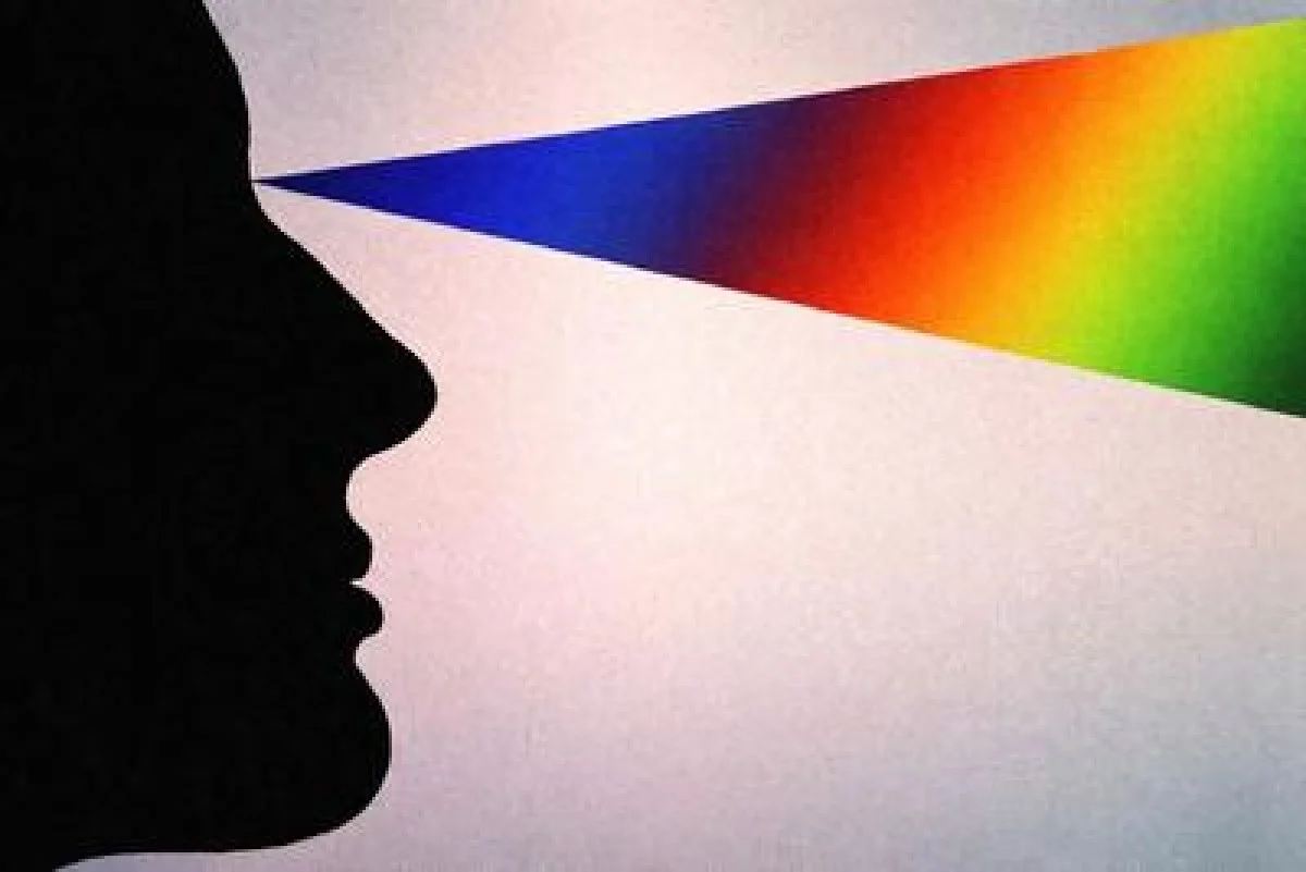 مدیران در میانه رویا و واقعیت