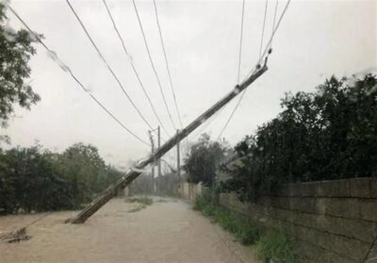 بارش‌های اخیر در فارس 64 هزار میلیارد ریال خسارت برجا گذاشت - تسنیم