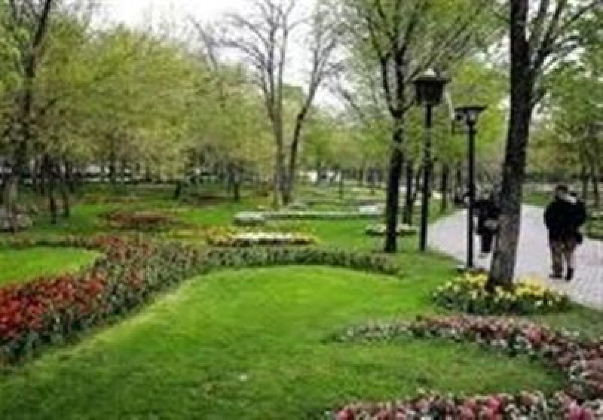 فضای سبز قم زیر سایه دوگانگی تصمیم‌ها - تسنیم