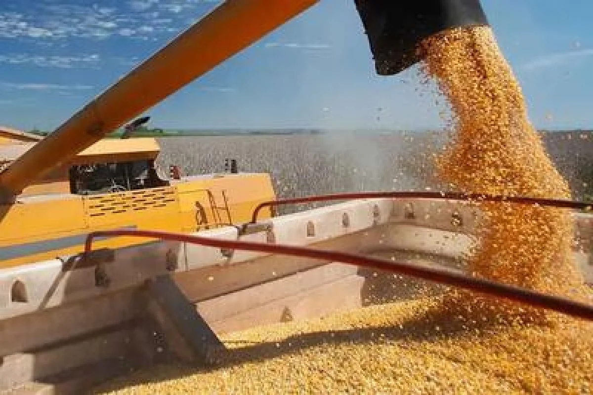 نقدینگی تولیدکنندگان پس از حذف ارز ترجیحی تامین می‌شود