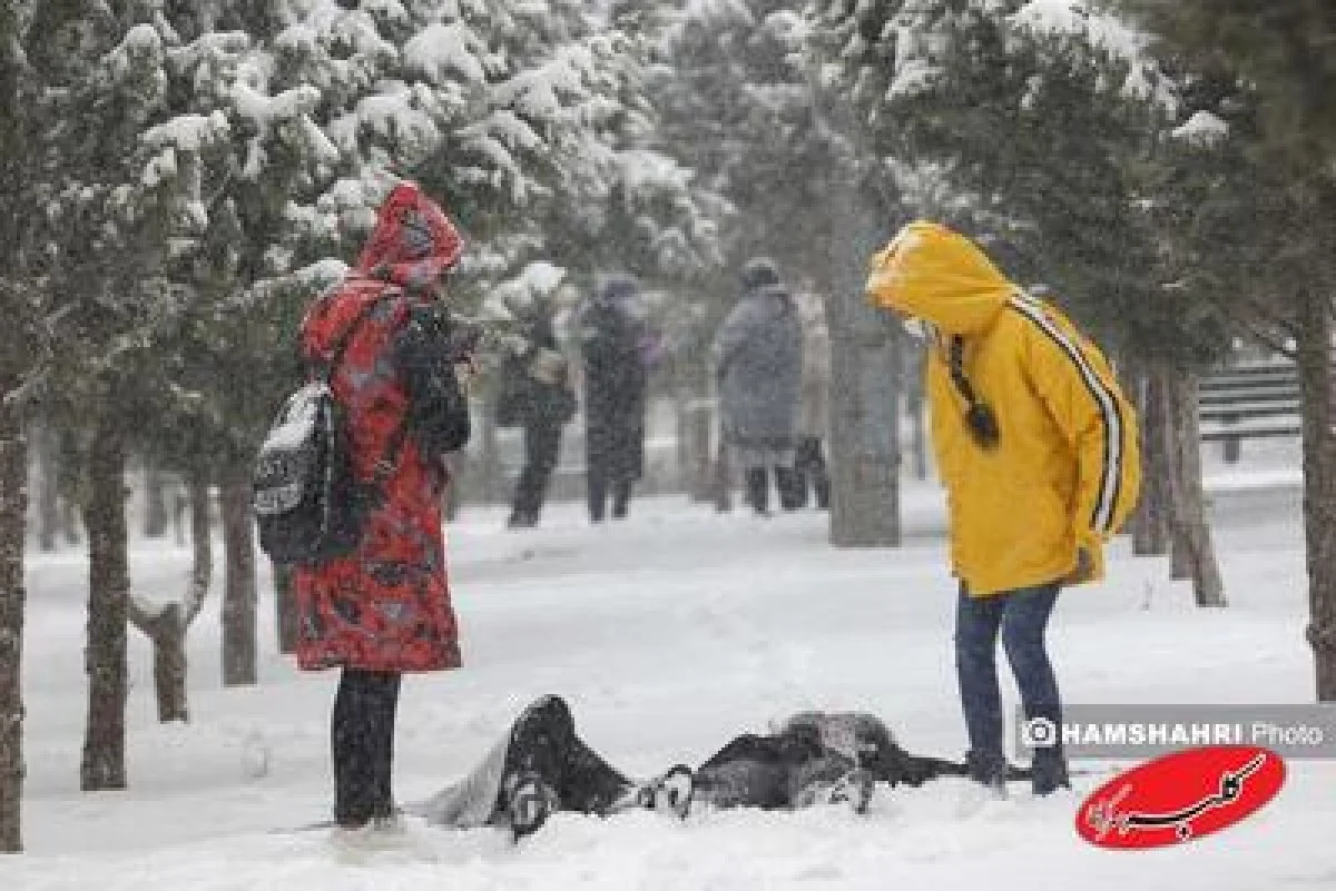 سامانه بارشی جدید در راه ایران؛ منتظر بارش برف و باران وزش باد شدید باشید - کلبه سرگرمی