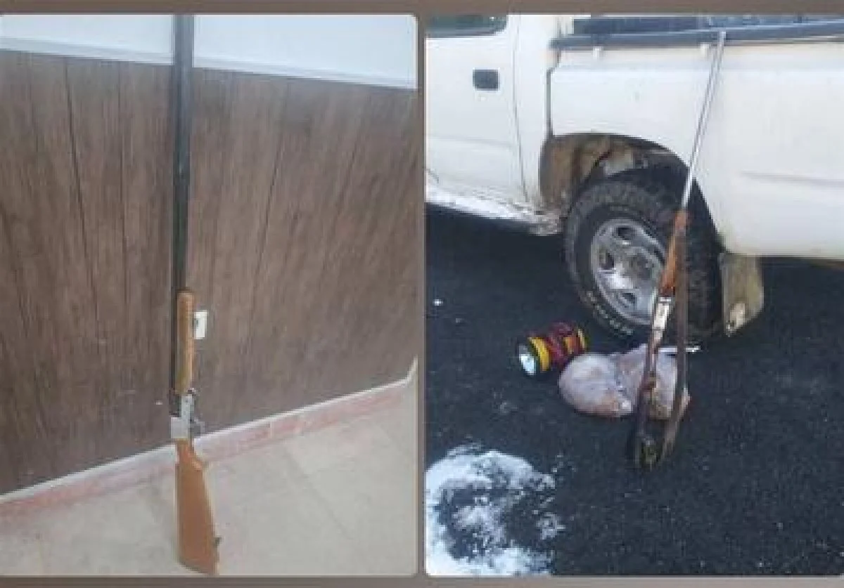 پایان شکار در ارسباران؛ دستگیری صیاد پرندگان مهاجر در سد خداآفرین - تسنیم